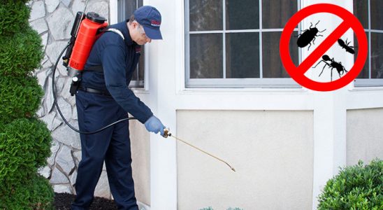 Sasalı Haşere İlaçlama böcek ilaçlama ve haşere kontrolü — ilaclama-tr.com